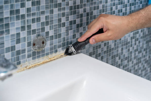 Best Mold Removal Company Near Me  in Riverdale, IL