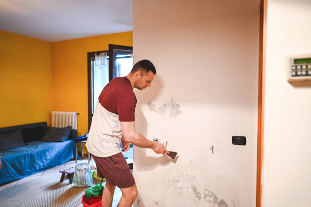 Best Mold Inspection  in Riverdale, IL