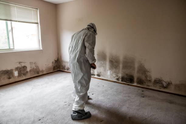 Water Damage Restoration in Riverdale, IL
